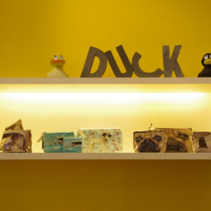 Magasin DUCK